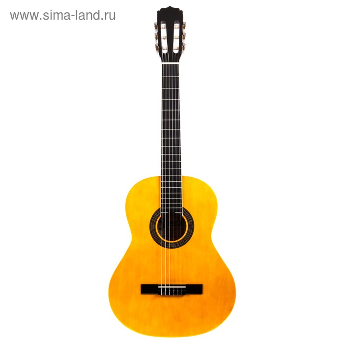 ARIA FIESTA FST-200-53 N Гитара классическая, размер 1/2